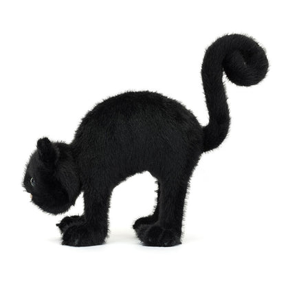 Spookipaws Cat