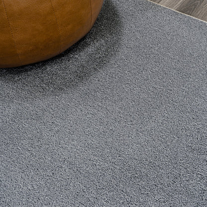 Twyla Classic Solid Low-Pile Machine-Washable Area Rug